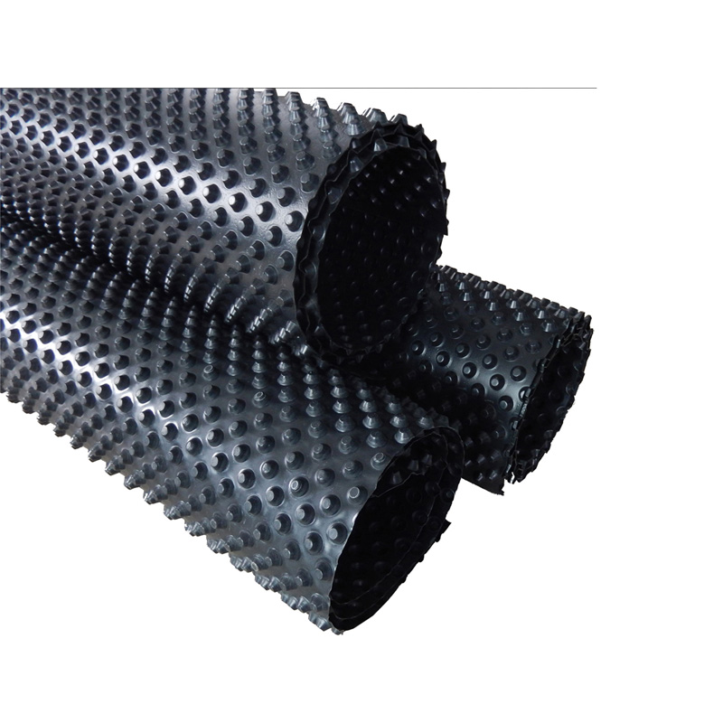 PE PP Drain board extrsion machine